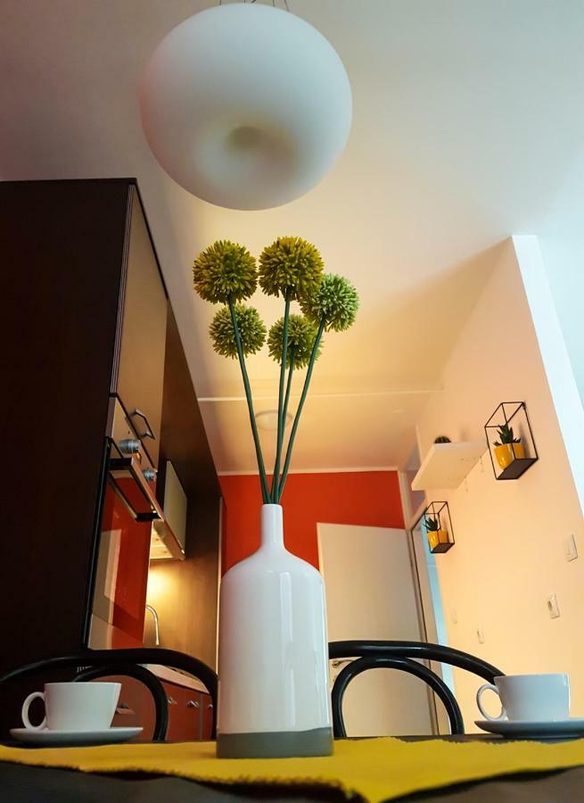 Apartment Kaya بولا المظهر الخارجي الصورة